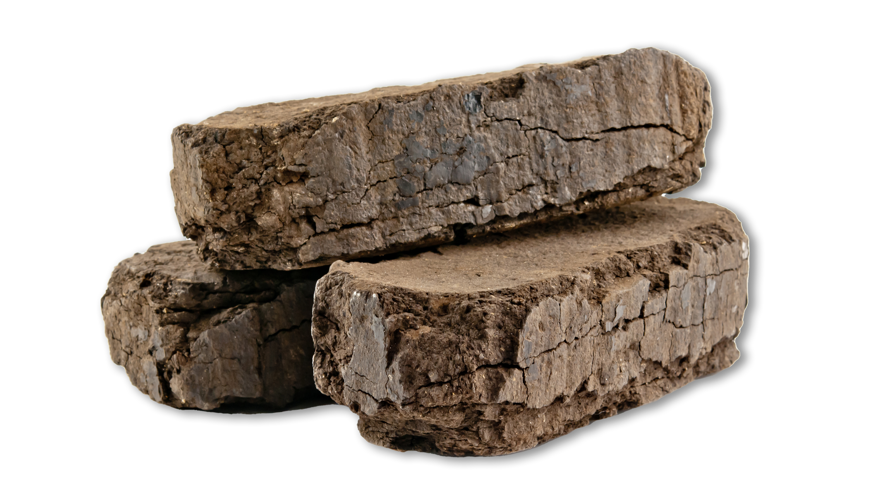 Torf als Bestandteil vieler Blumenerden muss nicht sein - es gibt klimafreundliche Alternativen!