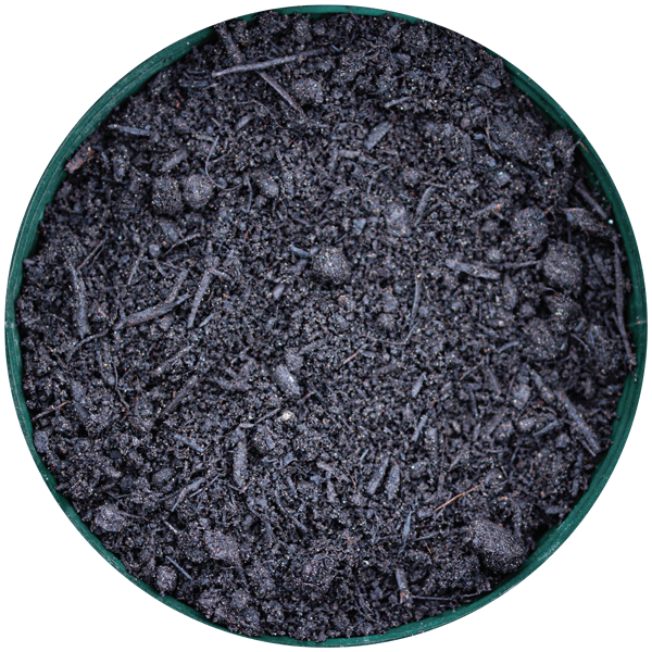 Grüngutkompost als Torfalternative